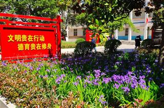 洛阳中医药学校
